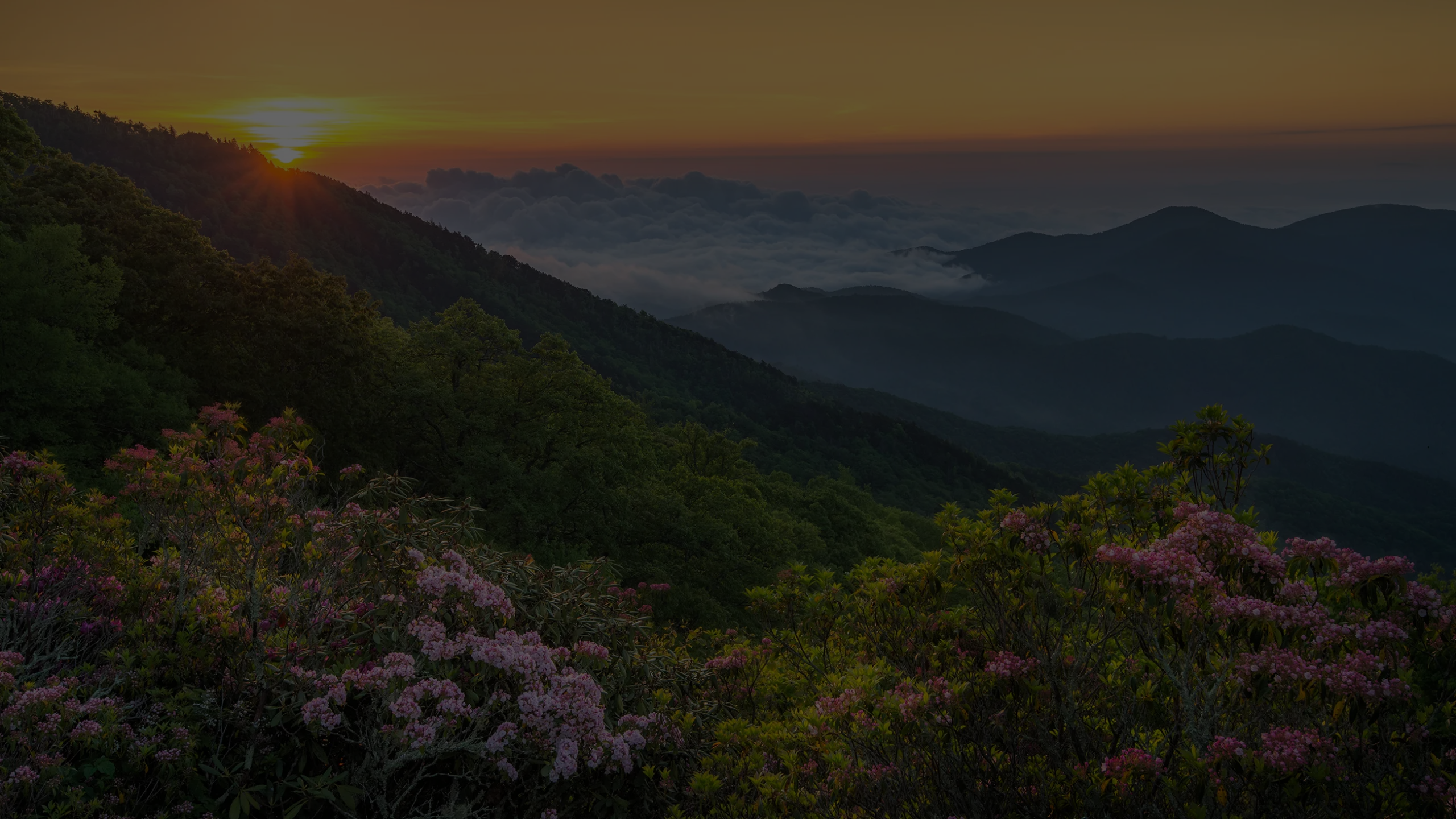 mountains